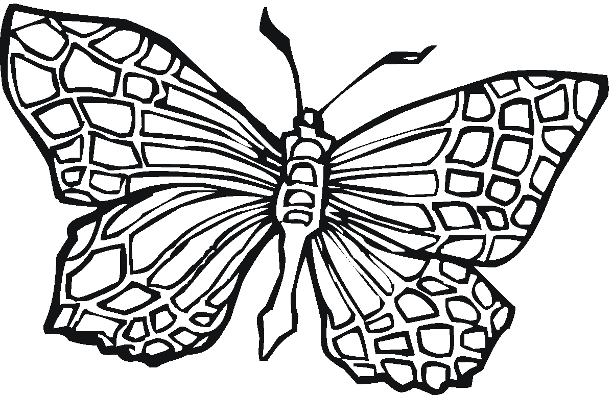 images of butterfly coloring pages - photo #4