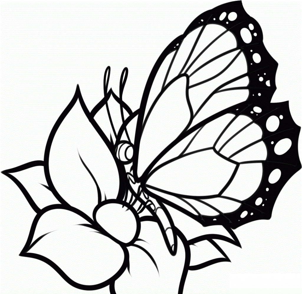 free-printable-butterfly-coloring-pages-for-kids