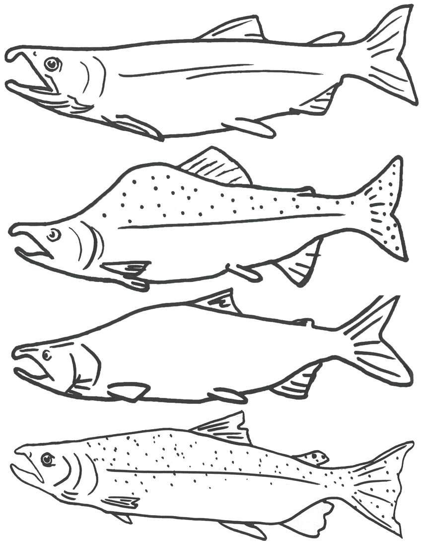 images of coloring pages of fish - photo #4