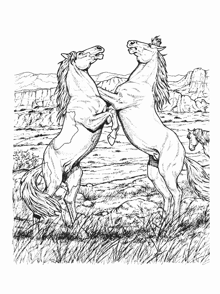 images of coloring pages of horses - photo #10