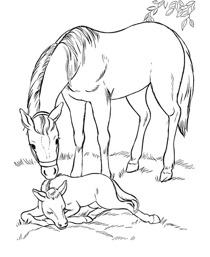images of coloring pages of horses - photo #3