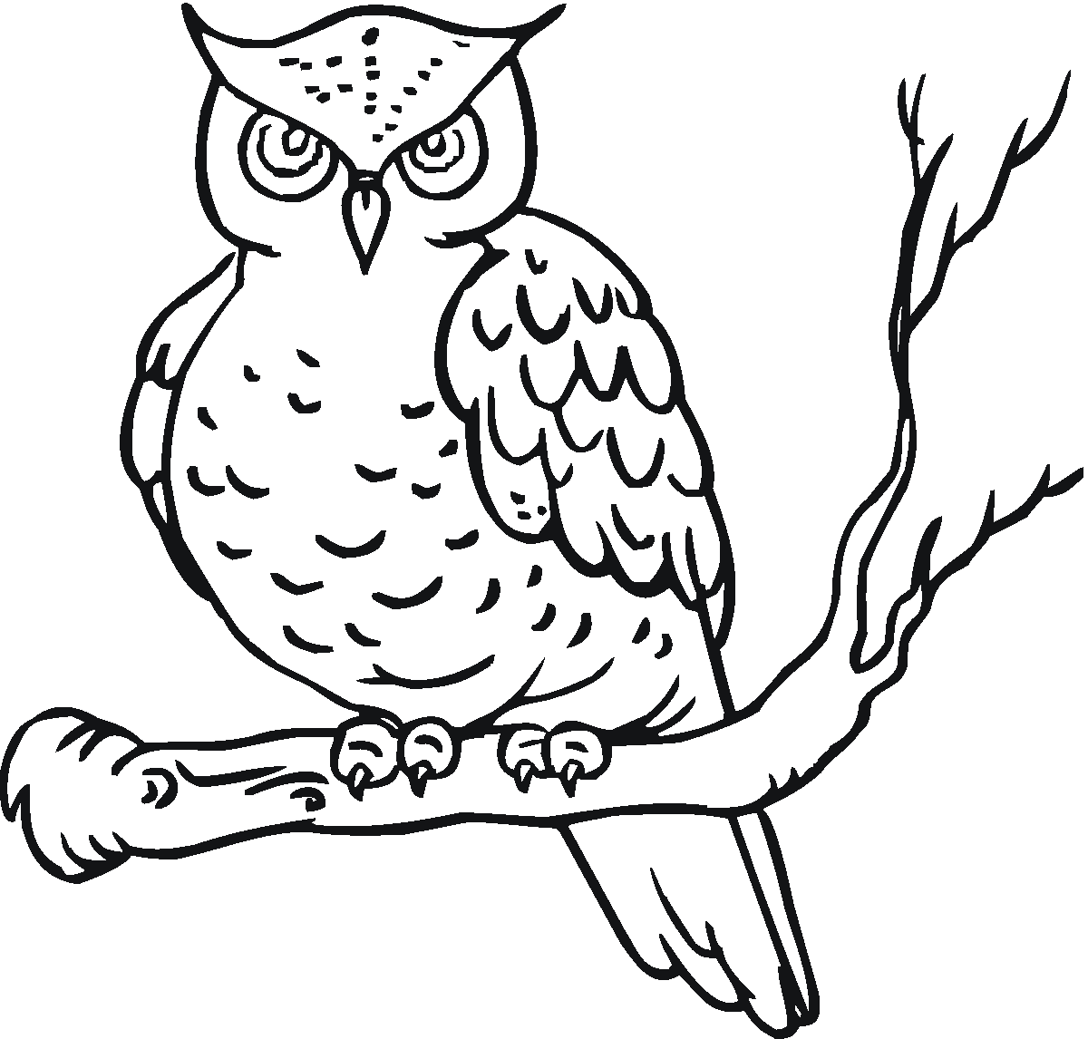 Owl Coloring Pages - Kidsuki