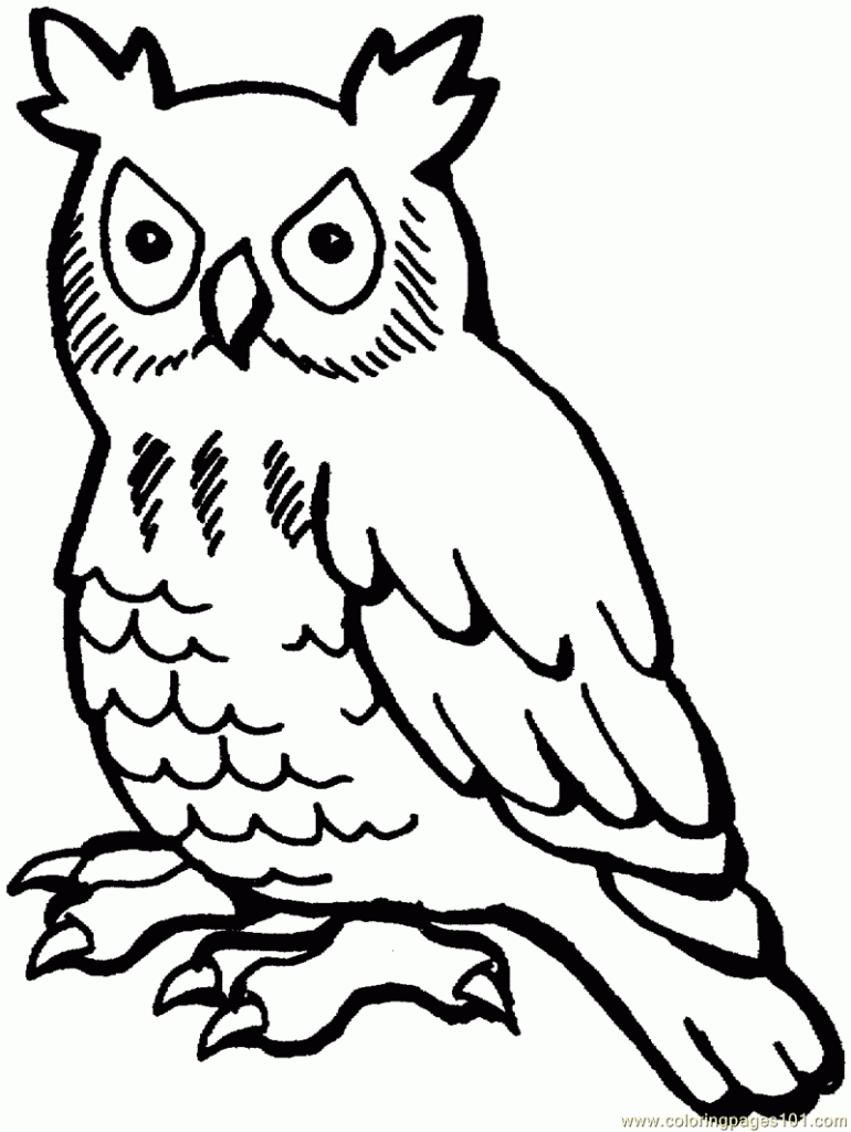 owl-coloring-pages-kidsuki