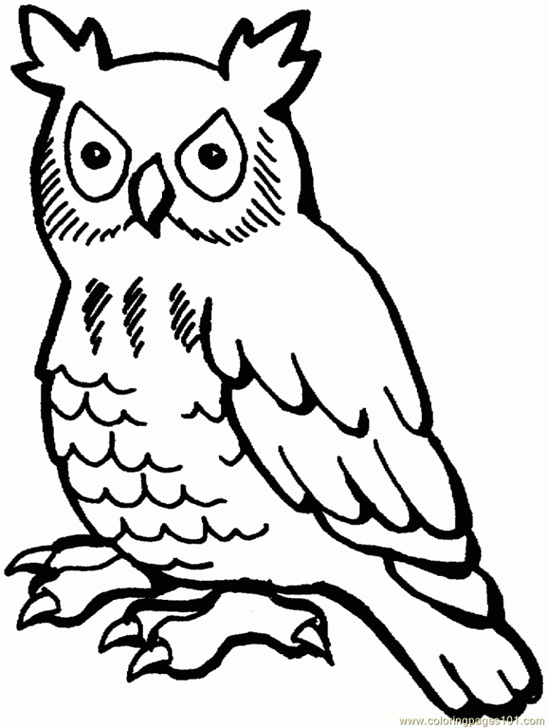 Owl Coloring Pages Kidsuki
