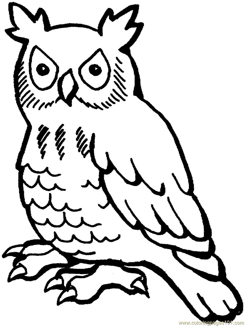a owl coloring pages - photo #16