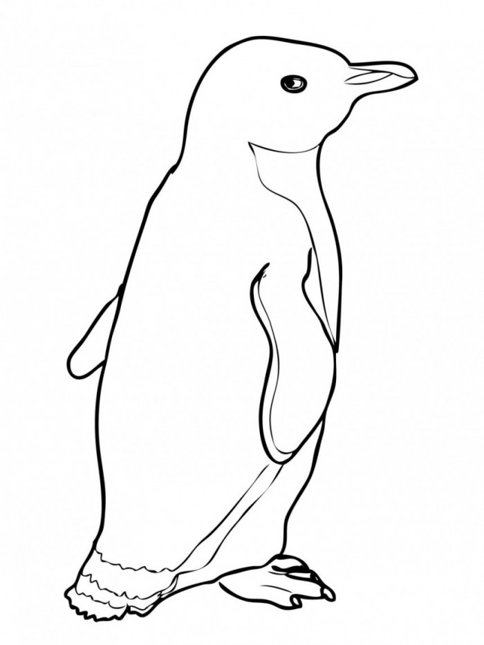 penquins coloring pages - photo #7