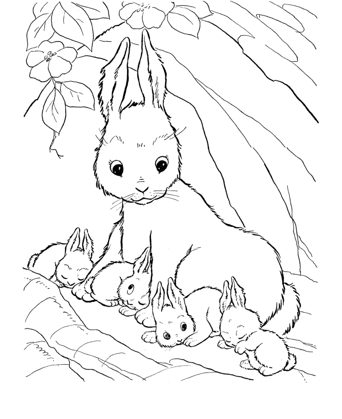 bunny coloring pages for kids - photo #9