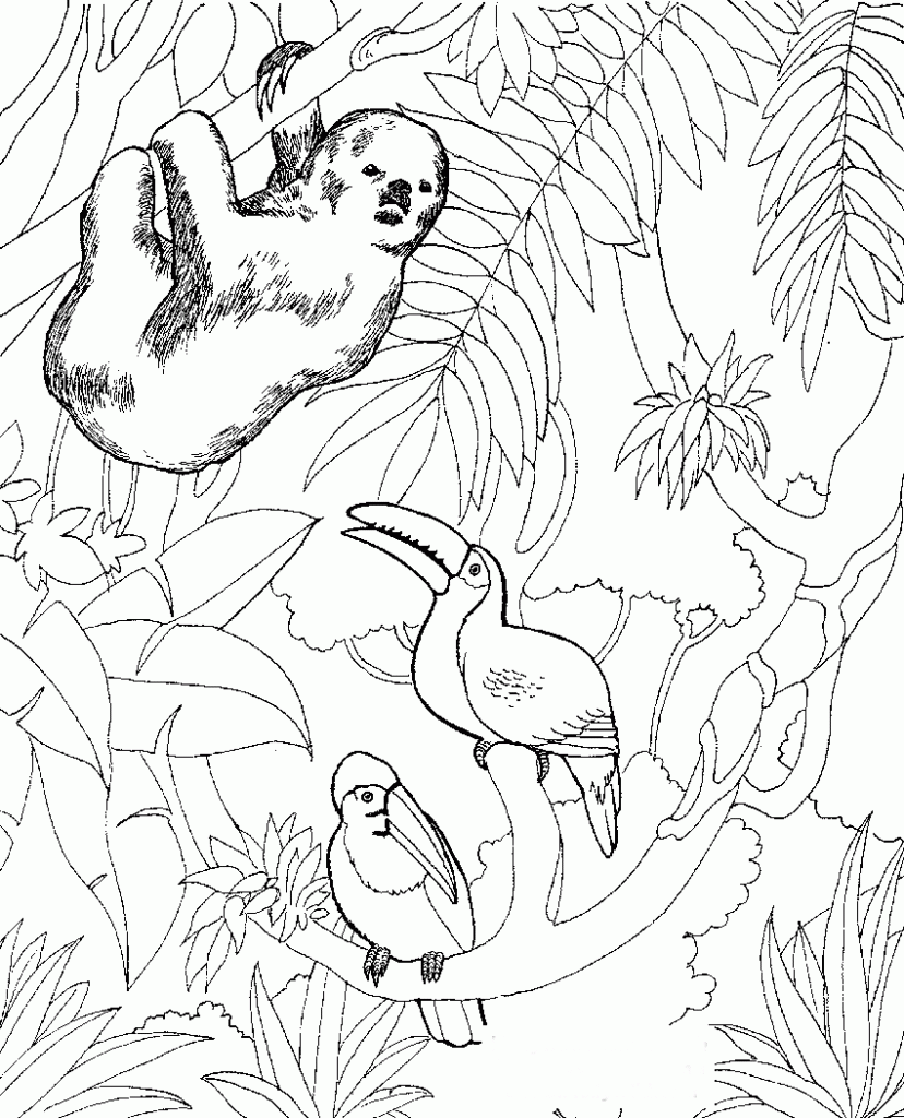 zoo coloring pages online - photo #22