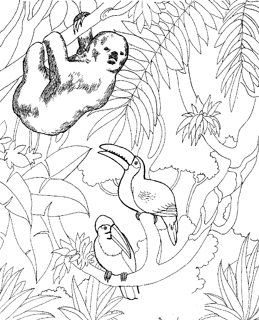zoo animal coloring pages for kids printable - photo #11