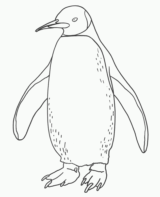 p is for penguin coloring pages - photo #37