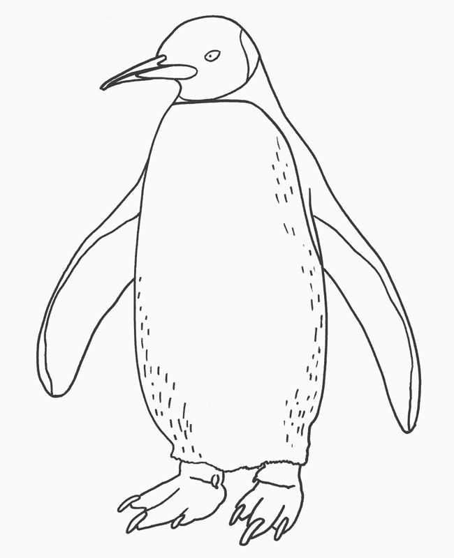 penquins coloring pages - photo #9