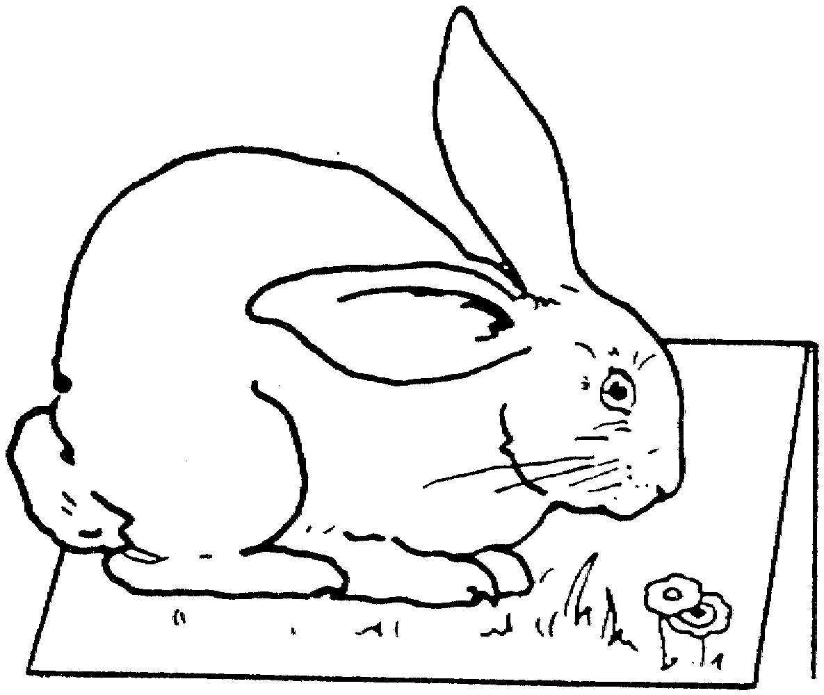 bunny coloring pages for kids - photo #32