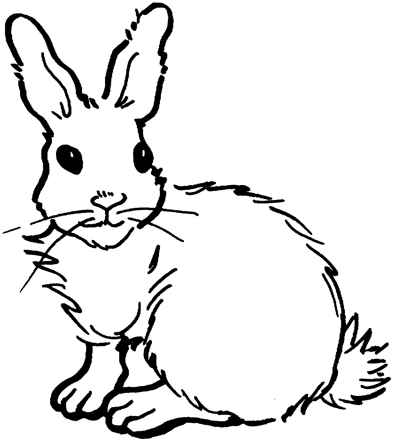 bunny coloring pages for kids - photo #33