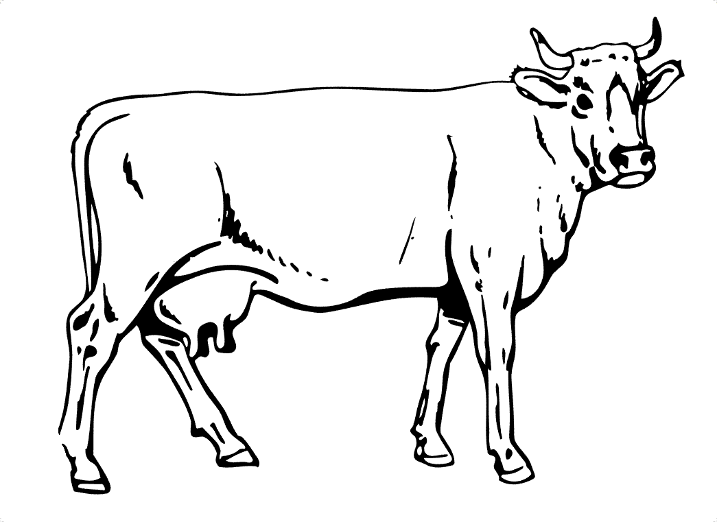c is for cow coloring pages - photo #31