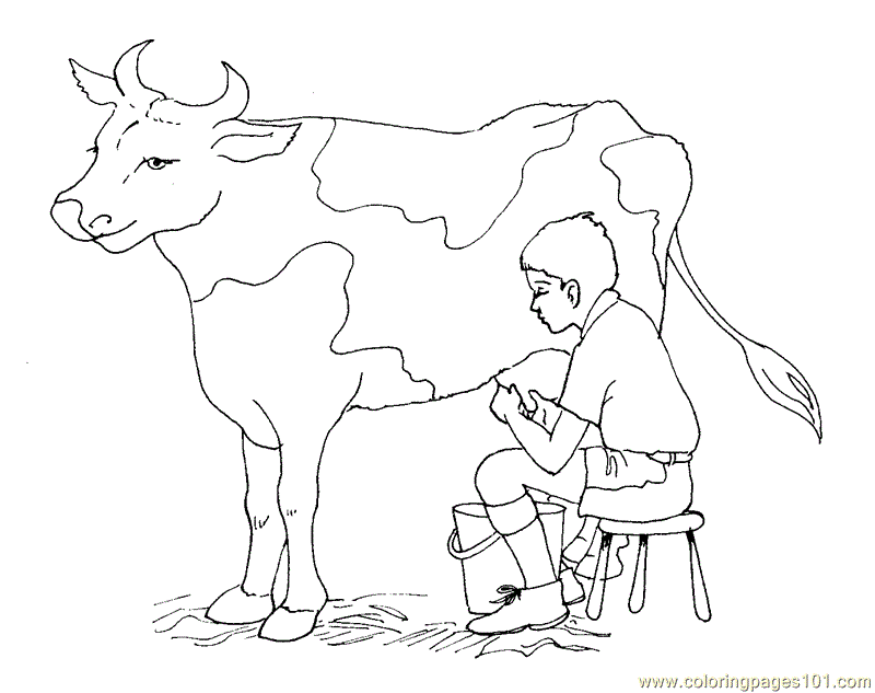 Free Printable Cow Coloring Pages For Kids