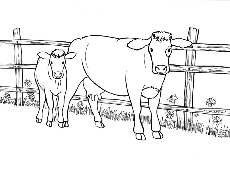 baby cow coloring pages - photo #39