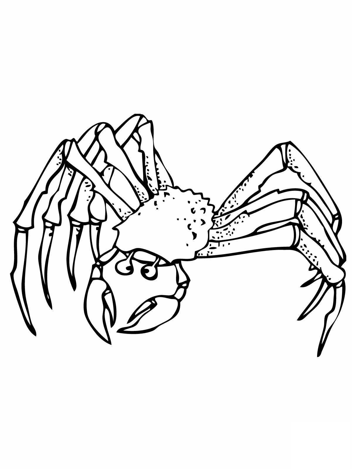 tcrab coloring pages - photo #35