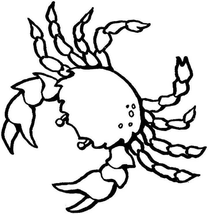 ocean creatures coloring pages to print - photo #47