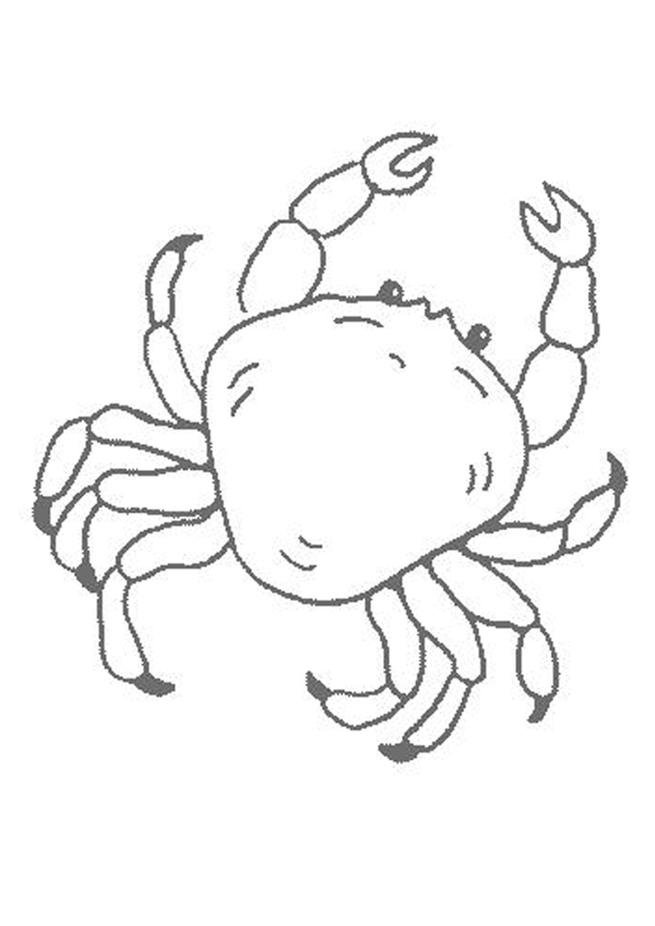 tcrab coloring pages - photo #19