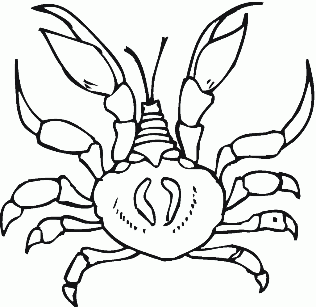 tcrab coloring pages - photo #29
