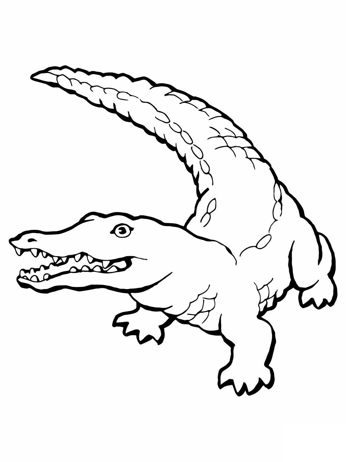 printable coloring pages crocodile - photo #3