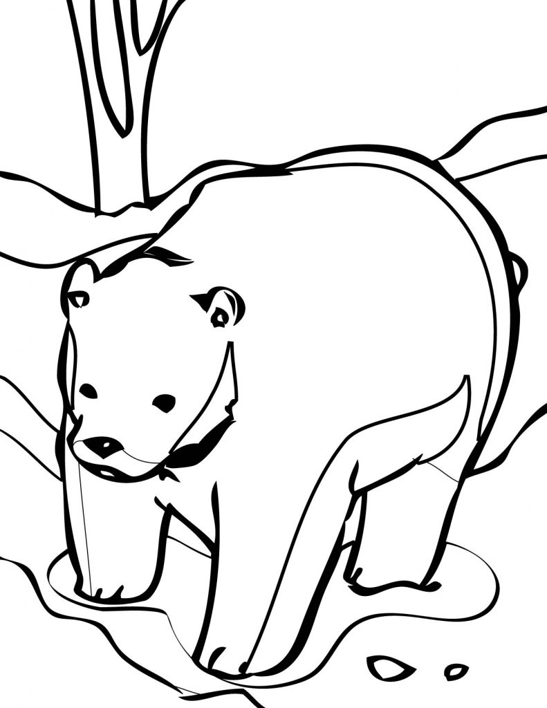 free-printable-bear-coloring-pages-for-kids