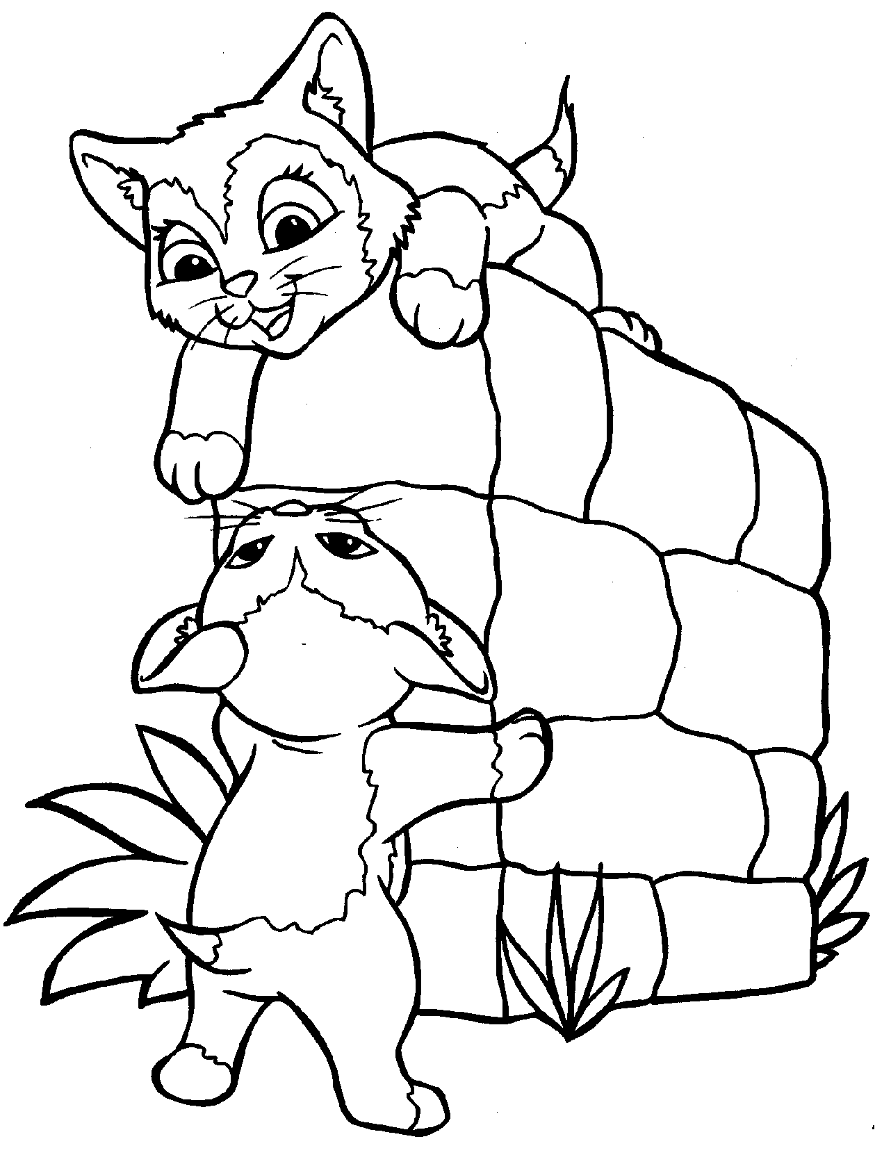 Cat Kitty Coloring Pages