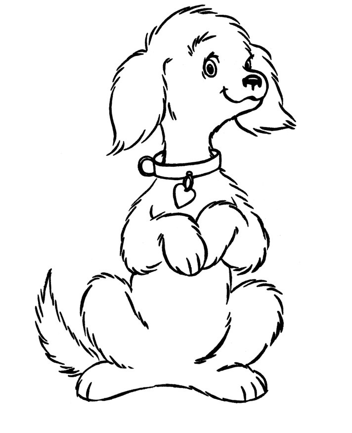 Free Printable Dog Coloring Pages For Kids