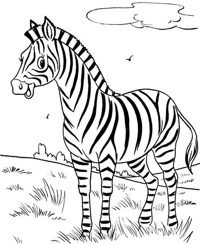 zebra coloring pages free - photo #3