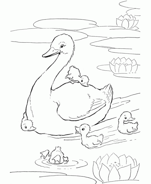 Daffy Duck Coloring Pages