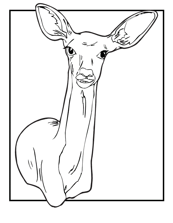 deer head coloring pages - photo #33