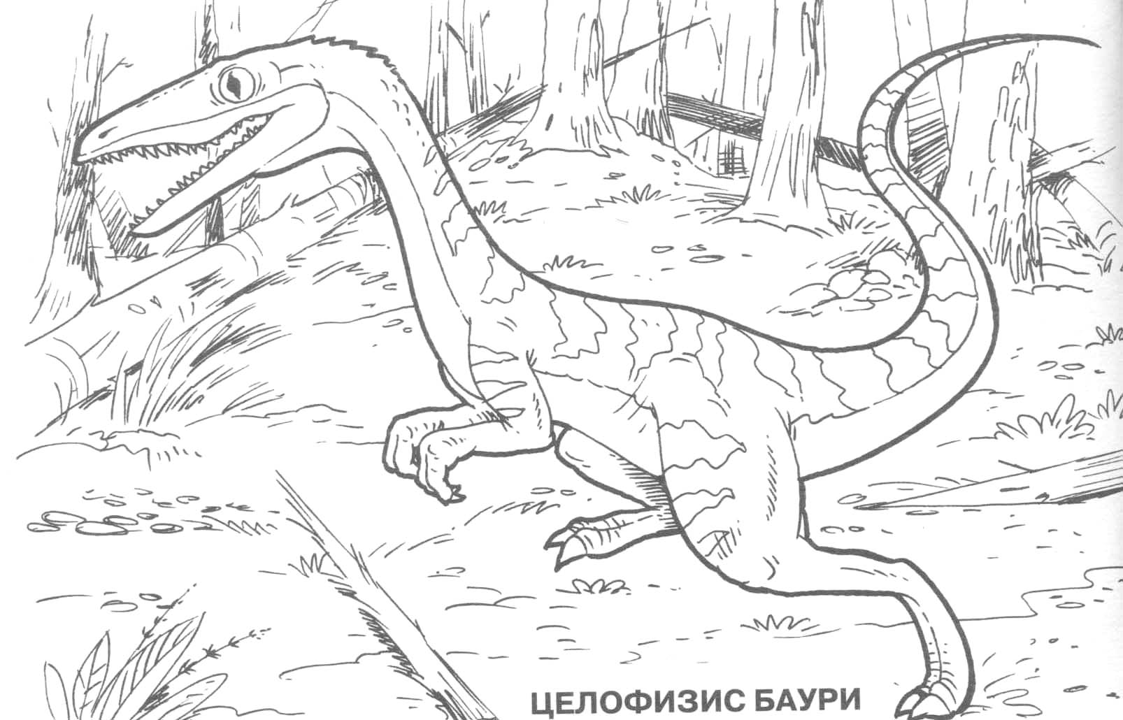 dinosaur coloring book pages free - photo #13