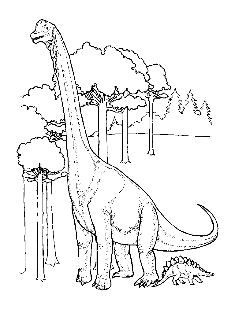 Dinosaur Coloring Pages Kidsuki