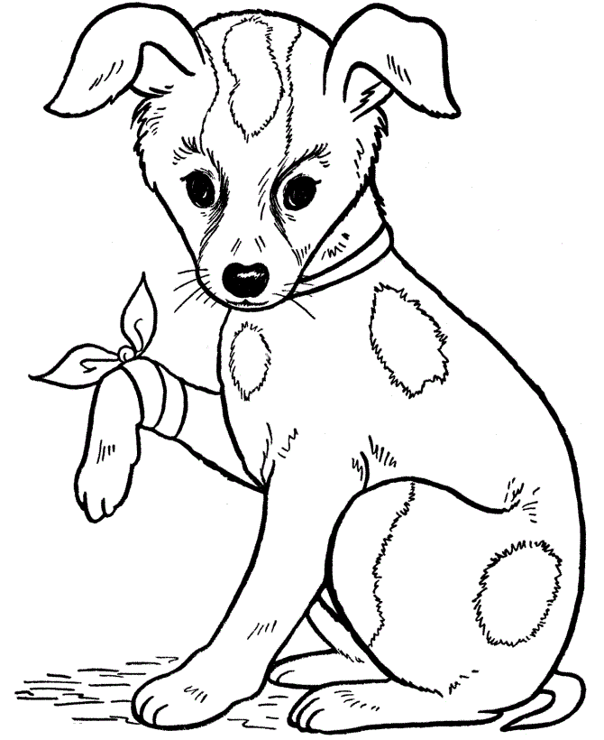 a coloring pages of a puppy - photo #34