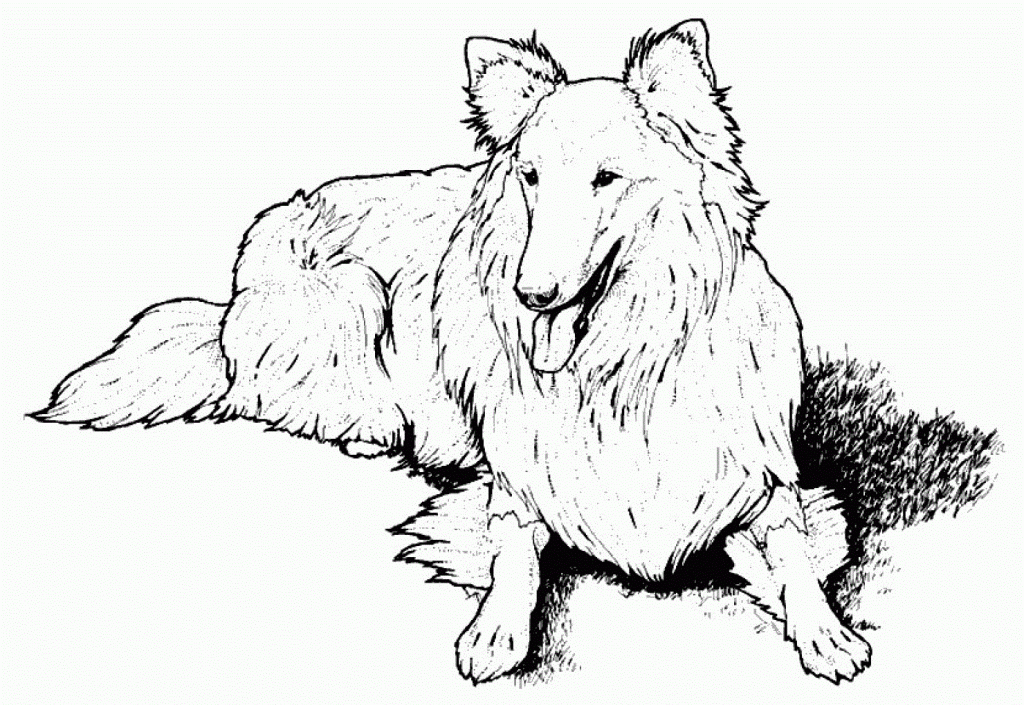 Free Printable Dog Coloring Pages For Kids