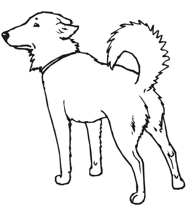 a dog coloring pages - photo #13