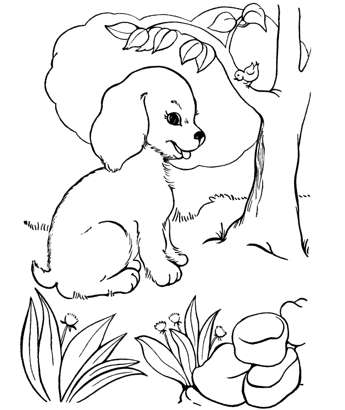 a dog coloring pages - photo #33