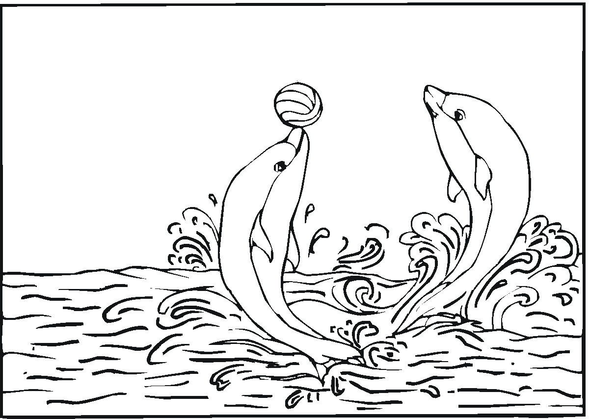 Dolphin Colouring Pages Free Printable