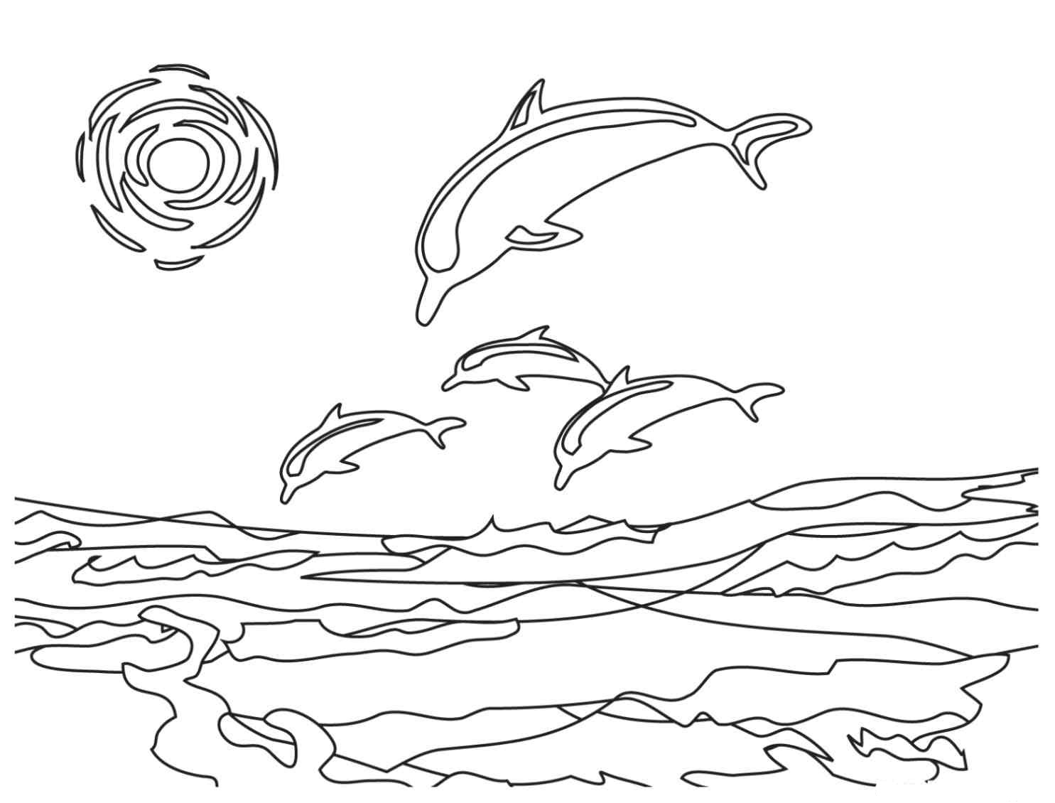 Free Printable Dolphin Coloring Pages For Kids