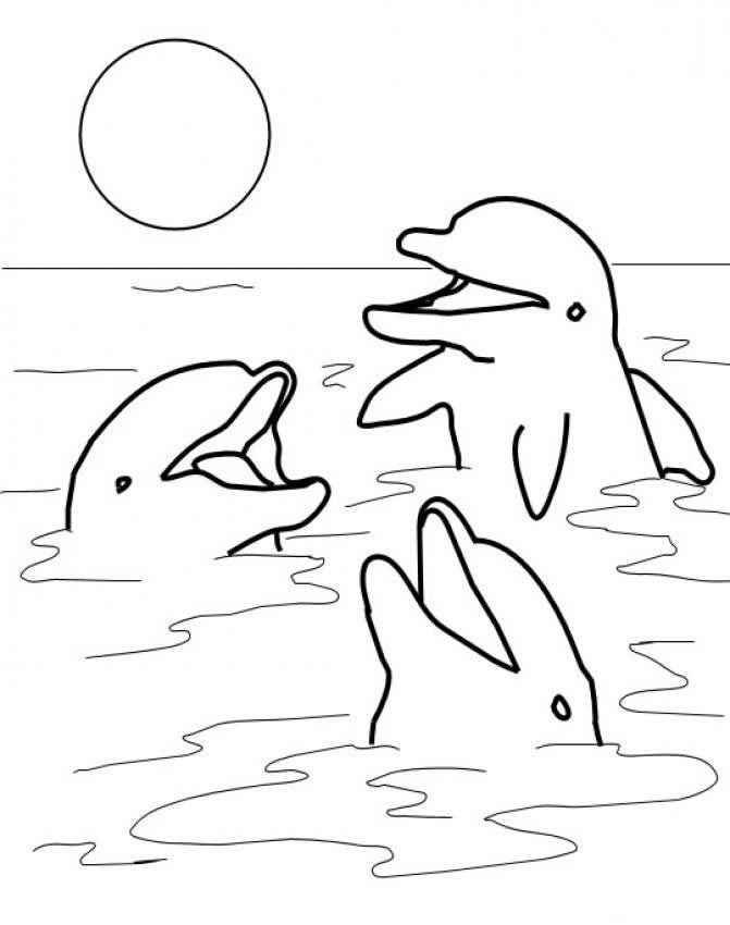 free-printable-dolphin-coloring-pages-for-kids