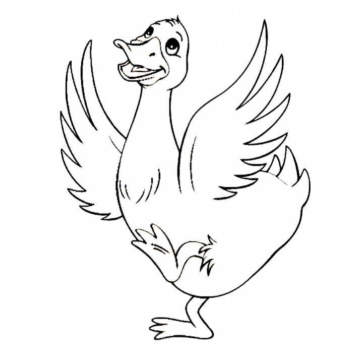 yellow duck coloring pages - photo #45