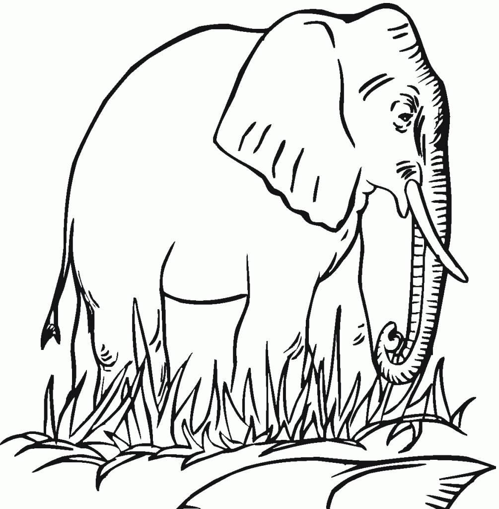 free-printable-elephant-coloring-pages-for-kids-snake-coloring-pages