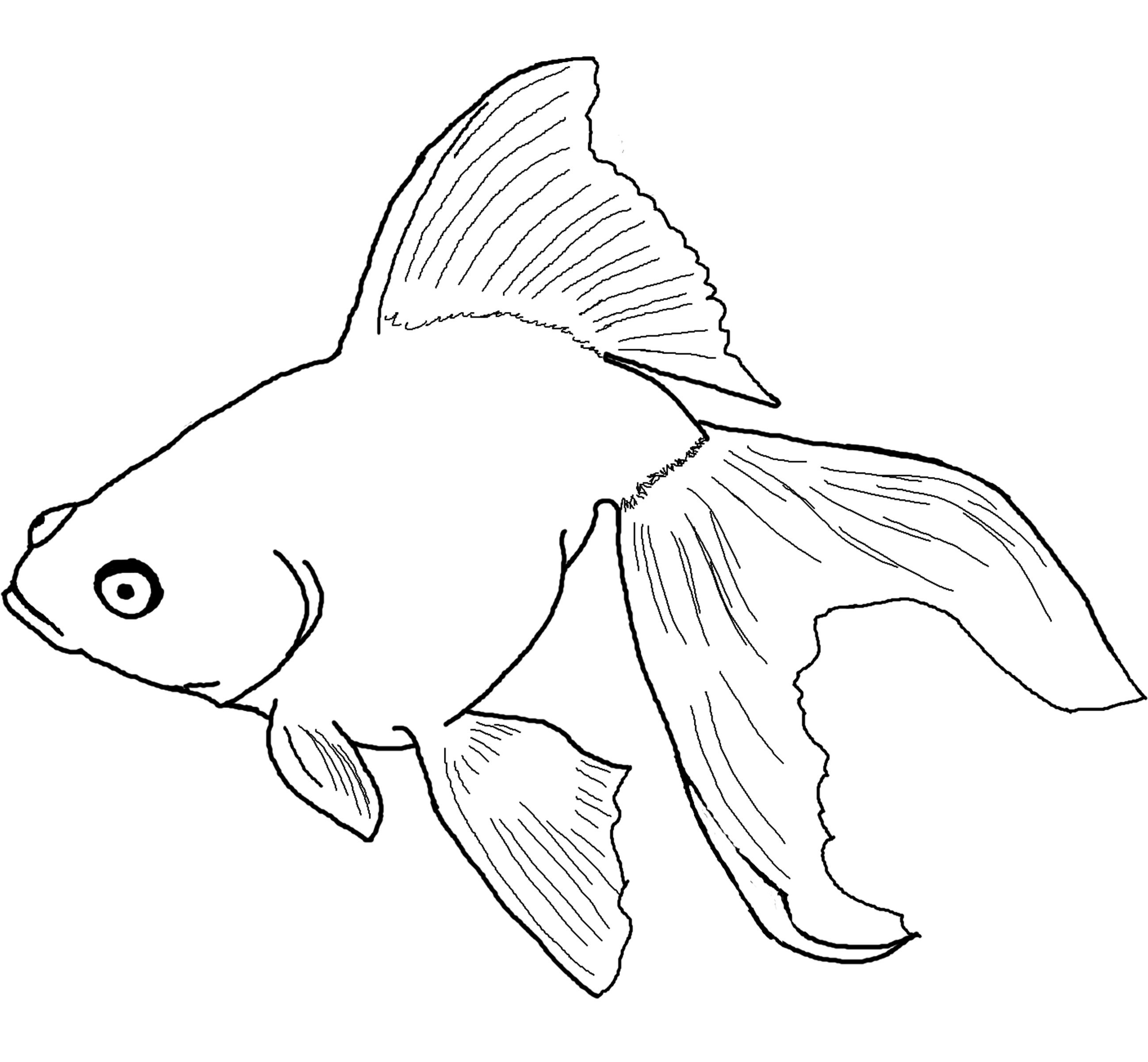 Free Printable Colouring Pictures Of Fish