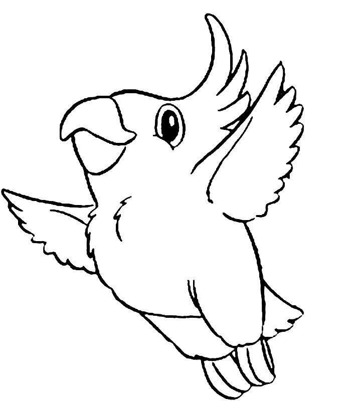 macaw bird coloring pages - photo #29