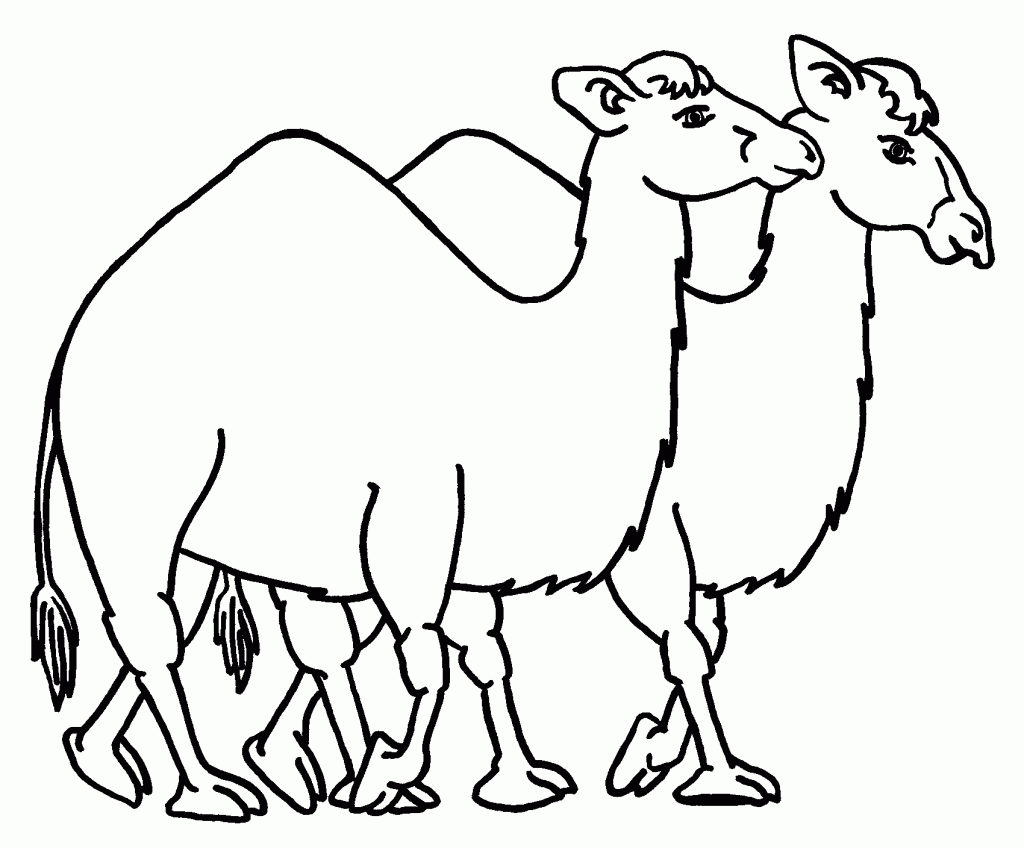 camel pages for coloring - photo #9
