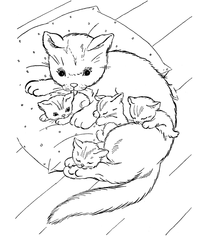 kitty cat free coloring pages - photo #11