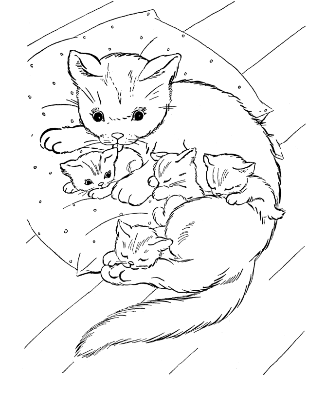 Free Printable Cat Coloring Pages For Kids