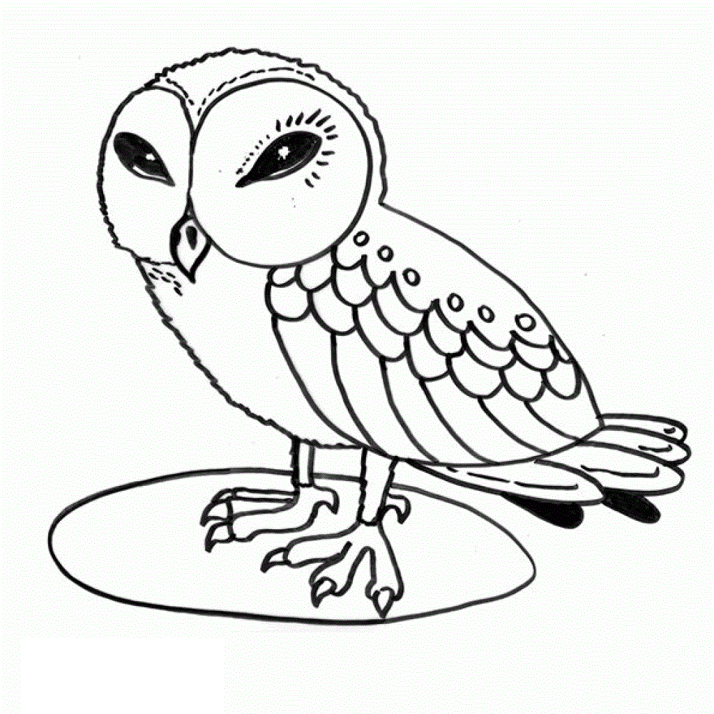 a owl coloring pages - photo #12