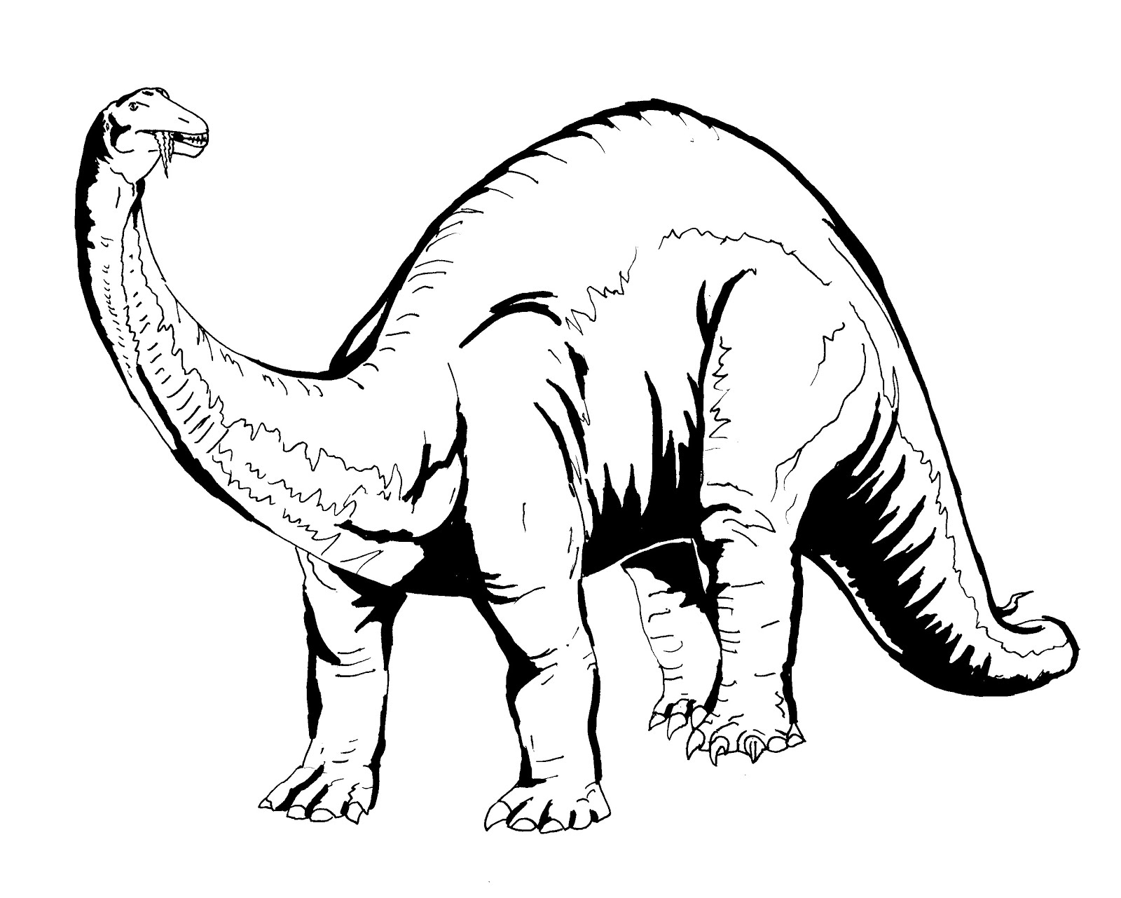 dinosaur coloring book pages free - photo #4