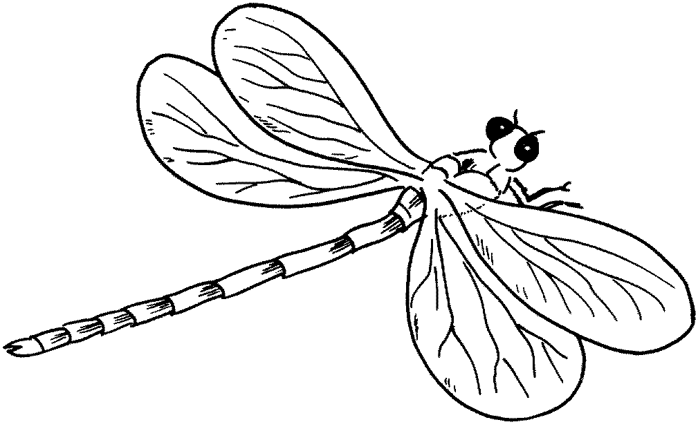 Dragonfly Coloring Pages - Kidsuki